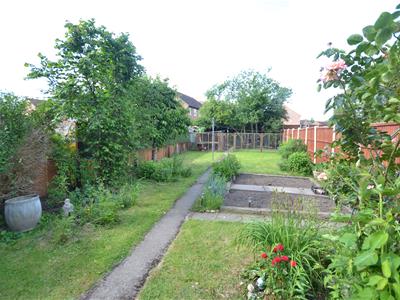 Picture 15